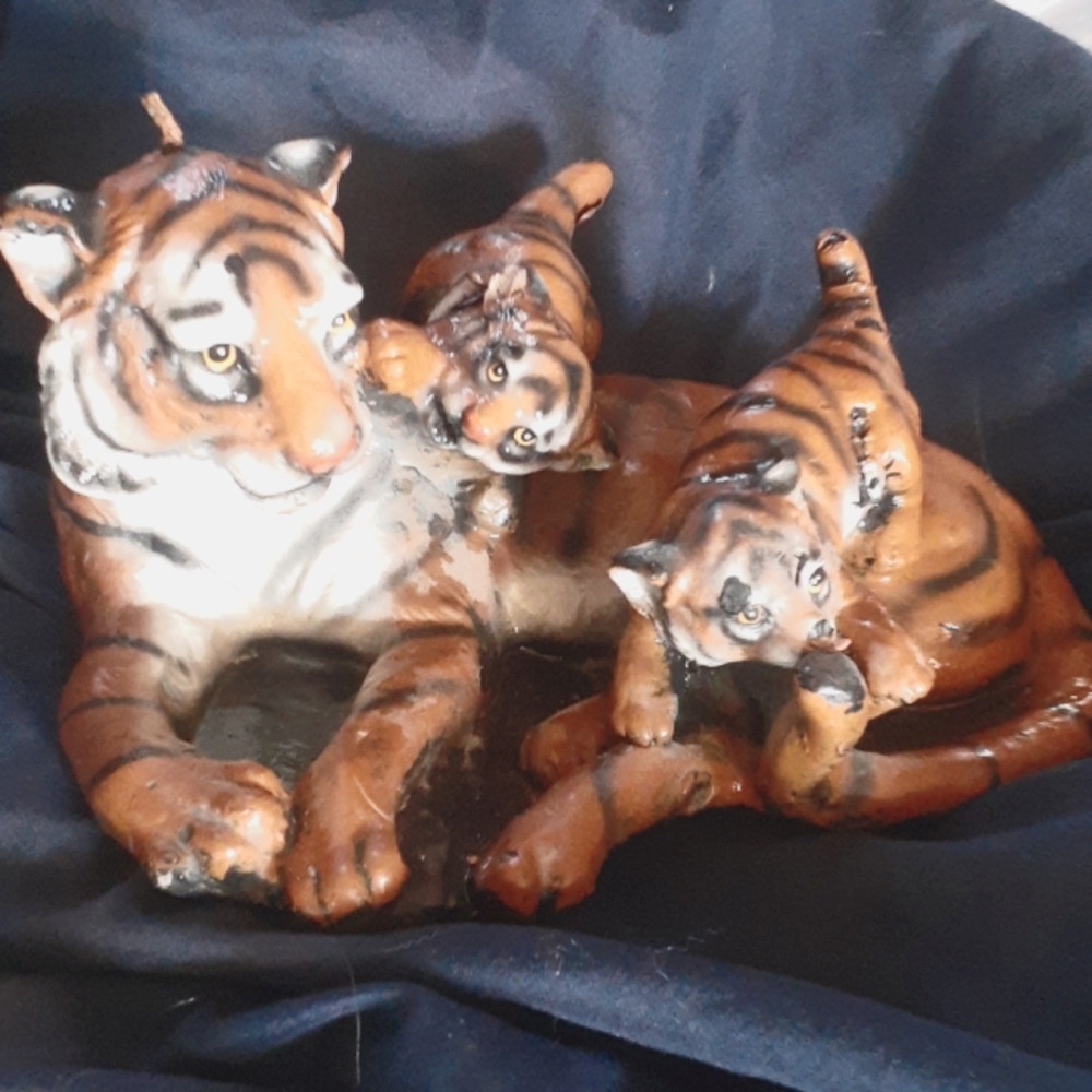 Candle of a tiger family